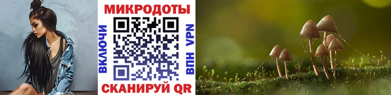 Купить закладки  Усть-Джегута  Галлюциногенные грибы GOLDEN TEACHER 